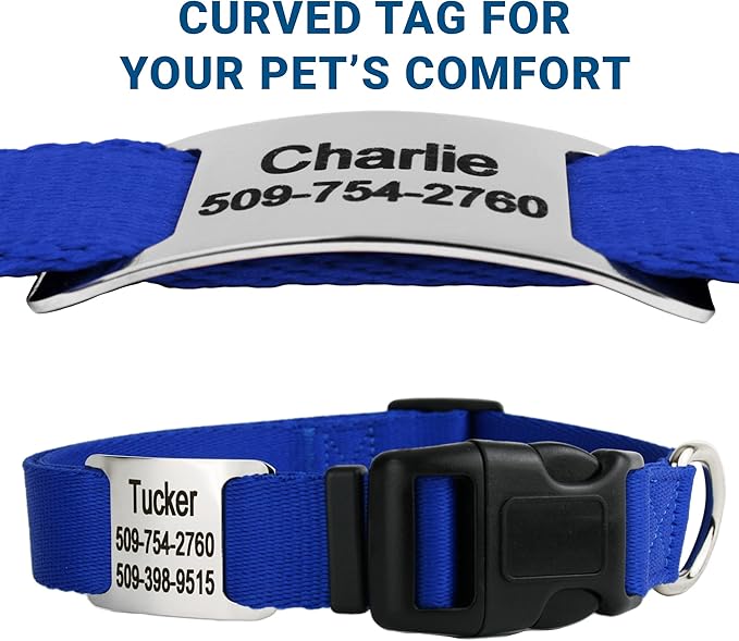 GoTags Personalized Dog Collar with Nameplate, Adjustable Dog Collar with Custom Engraved Slide On Pet ID Tag in Stainless Steel, Silent, No Noise Dog Tag for Large Medium and Small (Blue, X-Small)