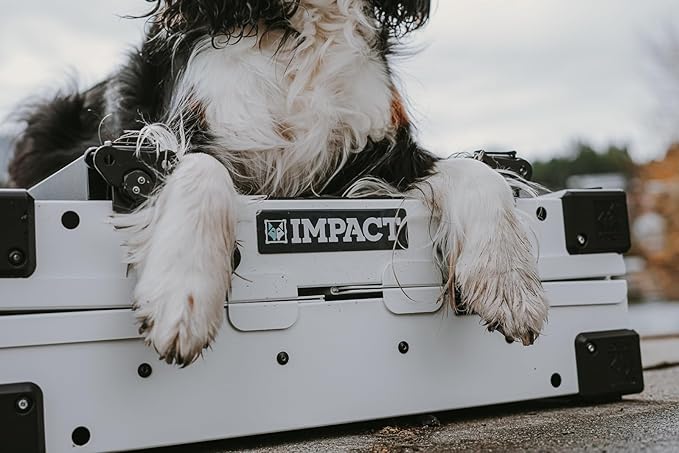 Impact Collapsible Dog Crate - Foldable Hard Crate for XXL Dogs - Heavy Duty Travel Kennel with Powder-Coated Aluminum - Quick Setup for Indoor & Outdoor (Black, 48" (48" L x 27" W x 33" H))