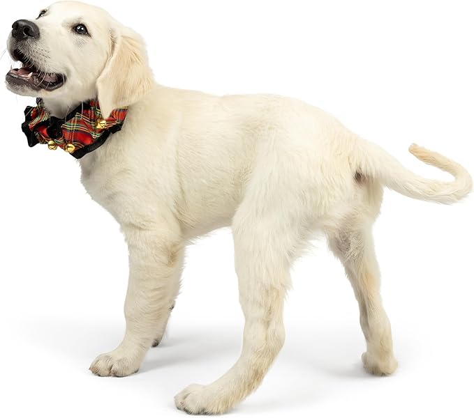Huxley & Kent Ruff Pet Scrunchy | Shiny Christmas Plaid (Extra-Large) | Festive Christmas/Holiday Neckwear for Dogs/Cats | Fun Stretchable Costume Accessory | Soft Collar with Bells