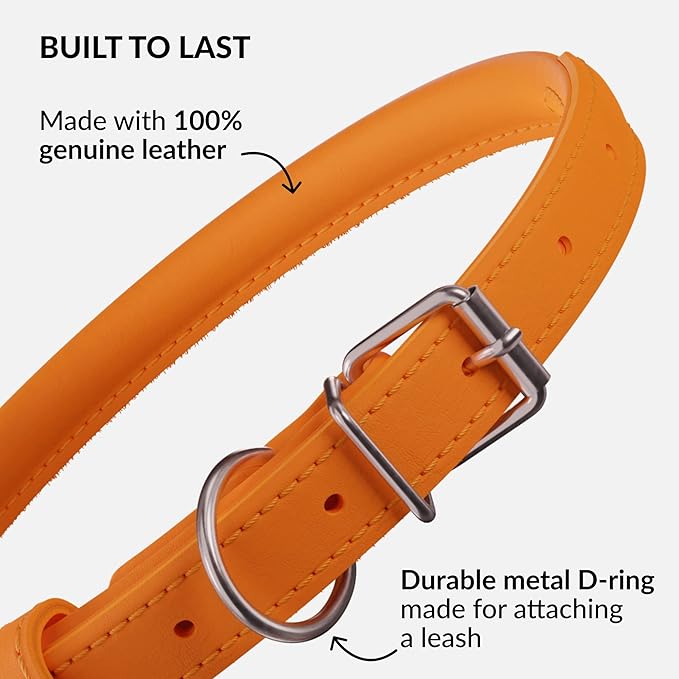 CollarDirect Rolled Leather Dog Collar, Soft Padded Round Puppy Collar, Handmade Genuine Leather Collar Dog Small Large Cat Collars 13 Colors (18-22 Inch, Orange Smooth)