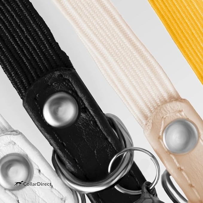 CollarDirect Leather Cat Collar, Kitten Collar with Removable Bell Black Blue Red Orange Lime Green (8-11 Inch, Red)