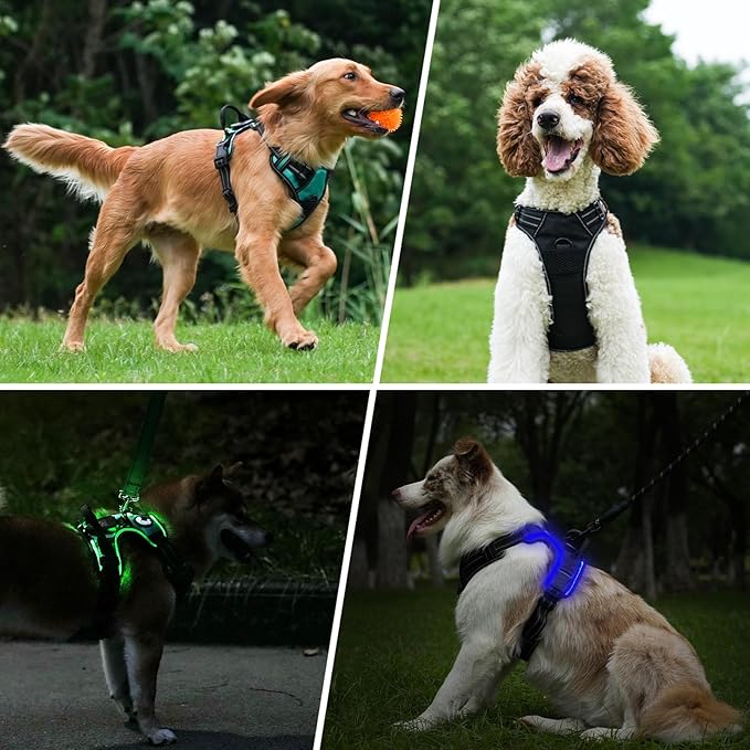 Taglory Light Up Dog Harness, Rechargeable No Pull Dog Vest with 3 Lightning Modes, Reflective Dog Harness with 2 Leash Clips & 4 Adjustable Slide Strips for Large Dogs, Black-Blue, L