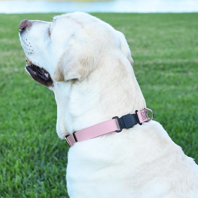 Dogline Biothane Waterproof Dog Collar with Herm Sprenger Stainless Steel Quick Release Buckle – Heavy Duty Tactical Durable Collar for Dogs – Comfortable and Safe Pet Collar, W 3/4" L 12-19", Pastel
