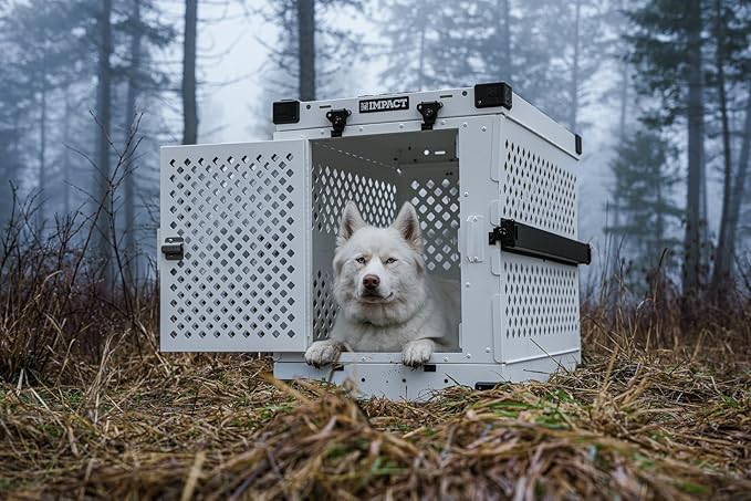 Impact Collapsible Dog Crate - Foldable Hard Crate for Large Dogs - Heavy Duty Travel Kennel with Powder-Coated Aluminum - Quick Setup for Indoor & Outdoor (White, 40" (40.5" L x 23" W x 29" H))