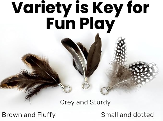 Feather Toys Replacements (3 Pc) - Cat Toys & Kitten Toys for Indoor Kittens, Set of Replacement Feather Attachments Extra Small and Durable, for Cat Wands, Natural and Safe