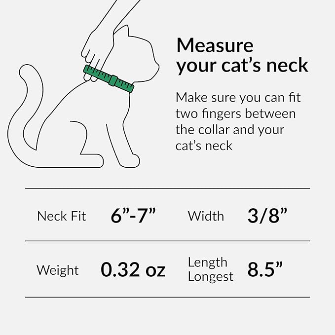 CollarDirect Leather Cat Collar, Kitten Collar with Removable Bell Black Blue Red Orange Lime Green (6-7 Inch, Light Blue)