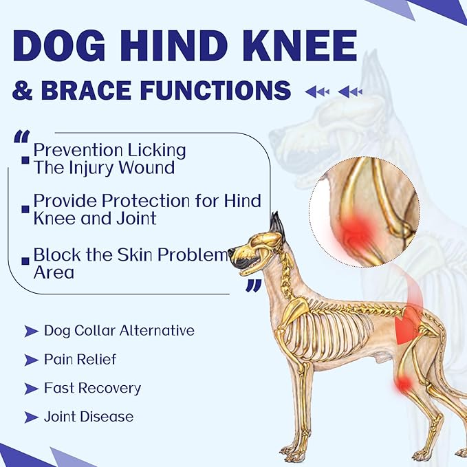 ROZKITCH Dog Surgery Leg Sleeve Rear Legs, Male Female Pet Prevent Licking Wound Elbow Knee Protector, Dog Recovery Suit Cone Collar Alternative Pants Shirt for Wound Heal Wrap Blue S