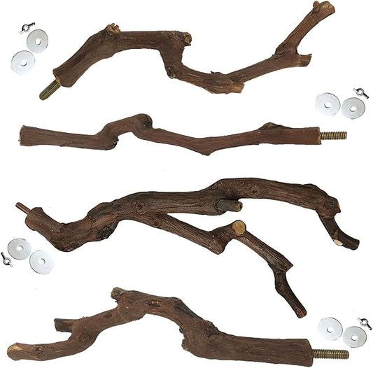 kathson Natural Parrot Perch Bird Stand Pole Wild Grape Stick Paw Grinding Fork Parakeet Climbing Standing Branches Toy Chewable Cage Accessories for Small Budgies Cockatiels Lovebirds 4PCS