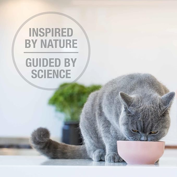 Feline Natural High Protein Dry Cat Food, Freeze-Dried Diet with 98% Meat, Organs & Seafood, No Peas, Grains, or Artificial Additives, Made in New Zealand, Chicken & Lamb, 11oz