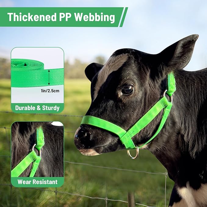 XUANNIAO Easily Adjustable Figure 8 Cow Halter, Double-Ply Premium Livestock Cattle Halters, Colorful Cow Utility Calf Halter with Leading Rope for Miniature Horse Donkey Goat Foal (Large, Green)