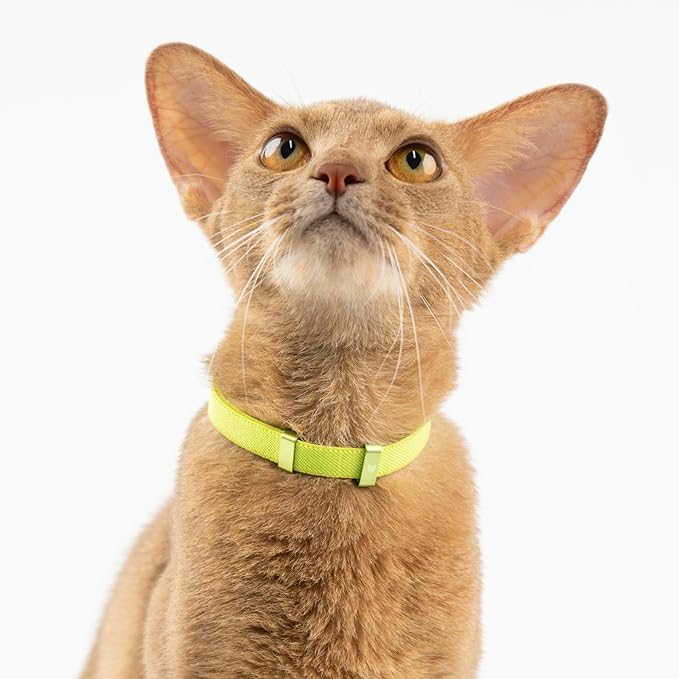 Safety Cat Collar - U.S. IDA Gold Award Design, Stretchy Elastic Quick Release Non Breakaway Cat Collar Light Weight for Kitten All Small Medium Large Cats (Olive, S (5.9-11.8 inch))