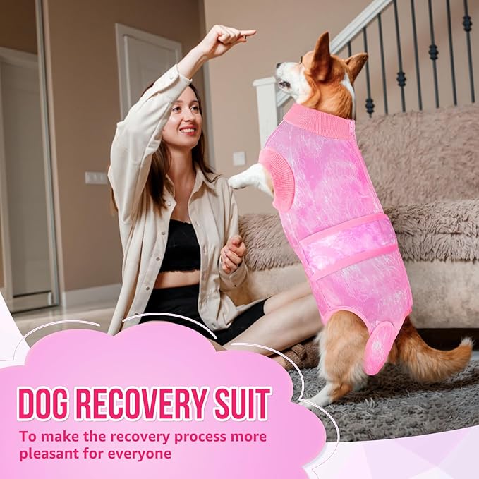 Lukovee Recovery Suit for Dogs, Zipper-On Onesie for Female Male Dog, Abdominal Wounds Cone E-Collar Alternative, Prevent Licking Spay (4XL, Pink Tie-dye)