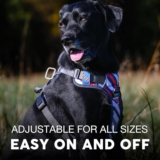 Embark Adventure Dog Harness, Reflective Trim No Pull Dog Harness for Large Dogs - Military Grade Nylon, Front Clip with Gel Lined Handle.