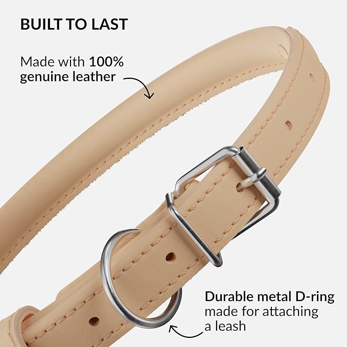 CollarDirect Rolled Leather Dog Collar, Soft Padded Round Puppy Collar, Handmade Genuine Leather Collar Dog Small Large Cat Collars 13 Colors (18-22 Inch, Beige Smooth)