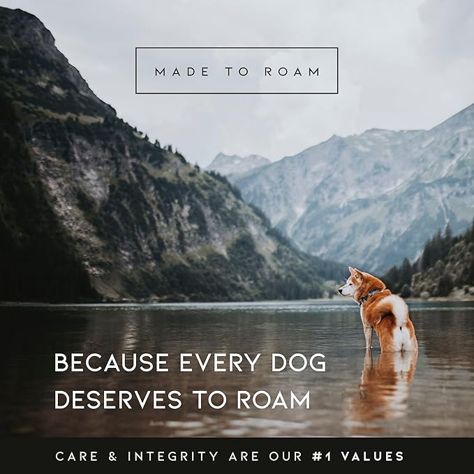 MADE TO ROAM Premium Explorer Harness - Y-Shaped Dog Harness with Adjustable Durable Nylon, Soft Padding, Metal Buckles and Leather Handle for Small, Medium, Large Dogs (Oregon Haze, Size 2)