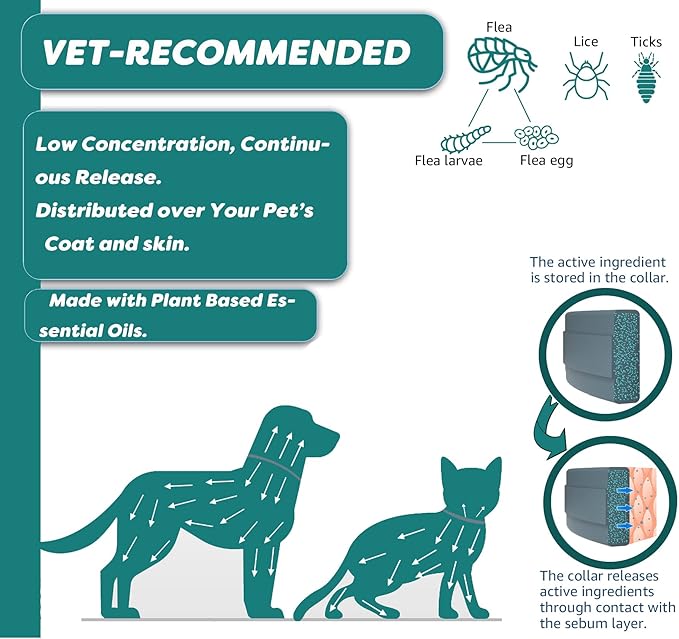 Flea and Tick Collar for Small Dog, Made with Natural Plant Based Essential Oil, Safe and Waterproof, Free Comb and Prevention Treatment Drop, 2x6 Month, 13.8 in (2 Packs)