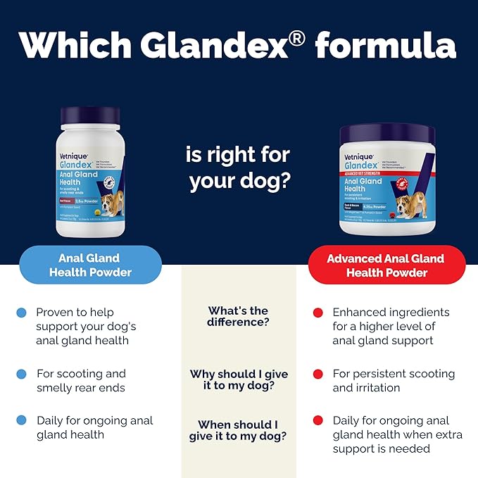 Glandex Dog Fiber Supplement Powder for Anal Glands with Pumpkin, Digestive Enzymes & Probiotics - Vet Recommended (Regular or Advanced Strength) - Boot The Scoot (5.5oz Powder, Beef Liver)