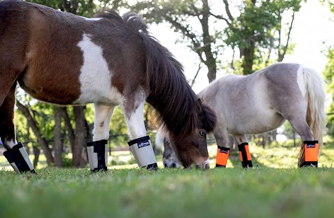 Warrior Fly Boots for Horses - Breathable Mesh Horse Boots for Fly Protection & Leg Comfort - Set of 4 (Lil Warrior, Neon Pink)