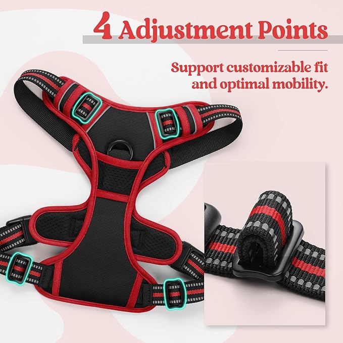 rabbitgoo Dog Harness No Pull with 2 Leash Clips, Adjustable Soft Padded, Reflective Oxford No Choke Pet Vest with Easy Control Handle for Small Dogs, Black & Red, S