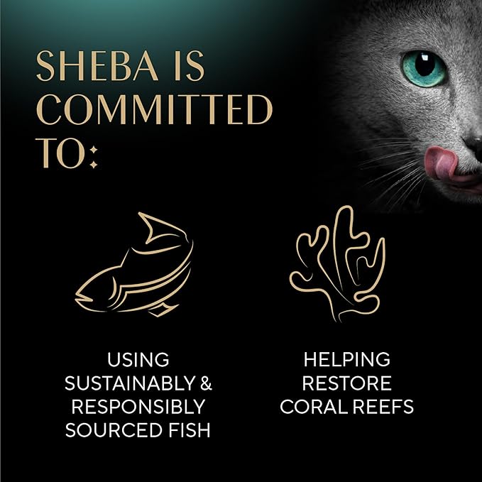 Sheba Perfect Portions Wet Cat Food Cuts in Gravy Variety Pack, Roasted Chicken Entree and Tender Turkey Entree, 2.6 oz. Twin-Pack Trays (12 Count, 24 Servings)