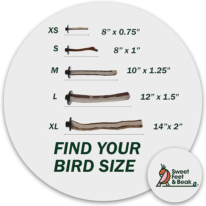 Superoost Manzanita Pumice Pedicure Perch- Easy to Install Bird Cage Accessories for Healthy Feet, Nails and Beak - Natural Bird Perches Imitates Birds' Life in The Wild - XS 8"