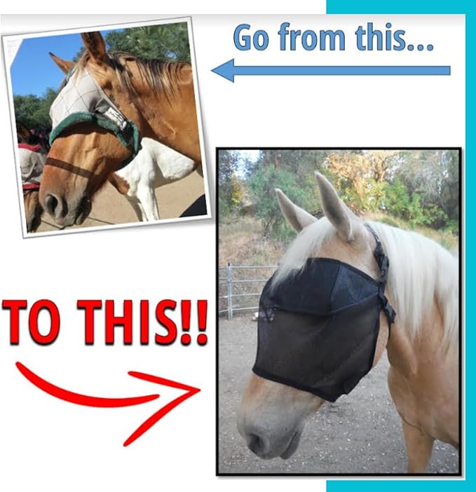 EquiVizor 95% UV Eye Protection (COB) Standard Horse Fly Mask - Help with Uveitis, Corneal Ulcer, Light Sensitivity. Designed to Stay On Your Horse, Off The Ground.