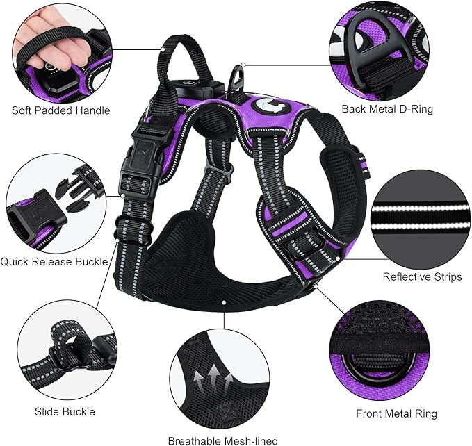 Taglory Light Up Dog Harness, Rechargeable No Pull Dog Vest with 3 Lightning Modes, Reflective Dog Harness with 2 Leash Clips & 4 Adjustable Slide Strips for Medium Dogs, Purple-Orange, M