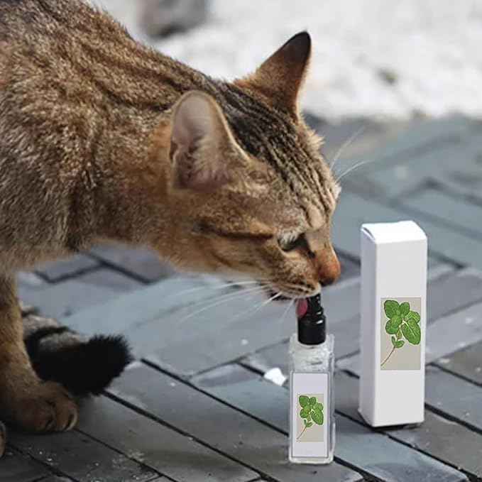 Kitty Joy Herbal Cat Joy, Herbal Cat Joy Spray, Celery Pets Catnip Spray, Catnip Spray for Indoor Cats, Cat Calming Spray, Anti Scratch Cat Spray, Cat Training Spray with Catnip, Cat Nip Spray (2PCS)