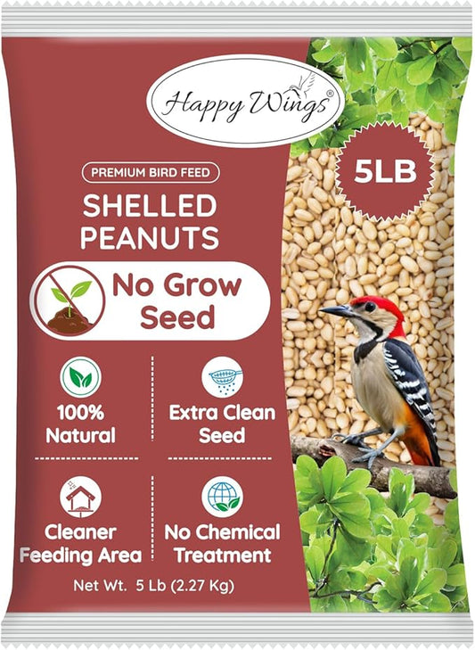 Shelled Peanuts Seeds Wild Bird Food - 5 Pounds I No Grow Seed I Bird Seed for Wild Birds