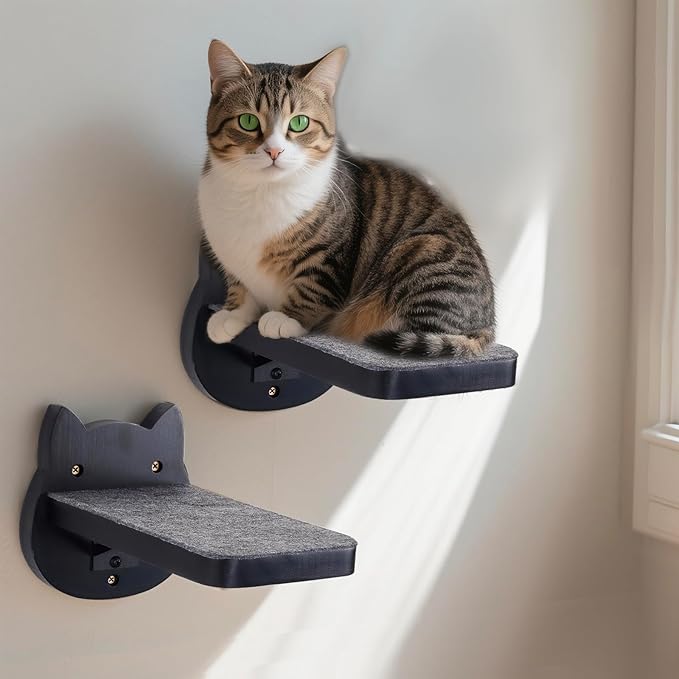 ESPETS Black Painted Solid Wood Cat Wall Climbing Steps Set of 3 - Wall Mounted Cat Floating Furniture Shelves and Perches, Sturdy Climber Stairs Ladders - Holds up 30lbs