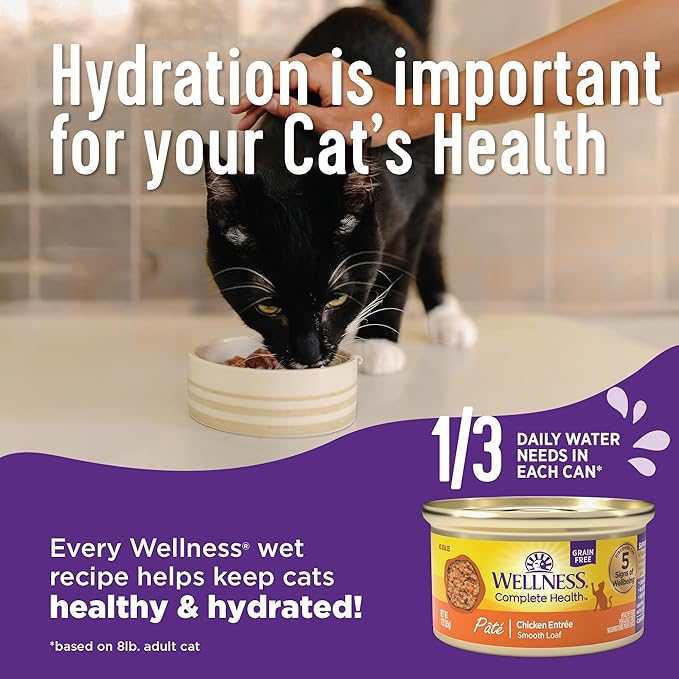 Wellness Complete Health Pate Adult Wet Cat Food, Natural, Protein-Rich, Grain Free, 3 Ounce, 24 Pack, (Turkey)