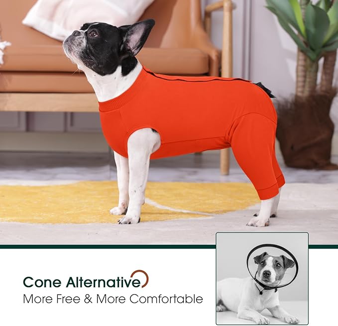 Kuoser Dog Recovery Suit for Rear Legs, Dog Surgical Suit with Pants Cover to Prevent Licking Wounds, Dog Onesie for Surgery Female Spay Male Neuter, Anti Licking Dog Recovery Leg Sleeve, Orange 2XL