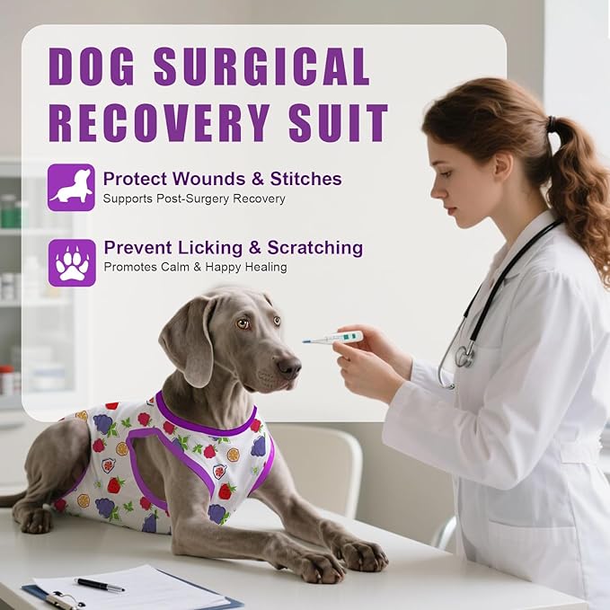 Recovery Suit for Dogs After Surgery, Professional Dog Surgical Suit for Female Spay, Male Neuter, E-Collar & Cone Alternative Dog Onesie for Abdominal Wounds Skin Disease, Purple, XXL