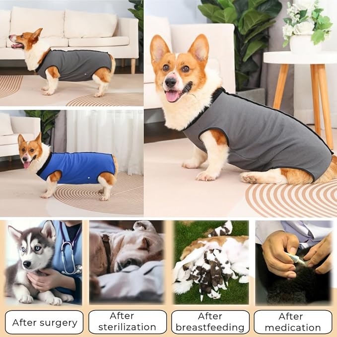Dog Surgery Recovery Suit,Abdominal Surgical Suit for Dogs,Recovery Suit for Dogs,Prevent Licking Surgical Wound Dog Cone Alternative Grey L