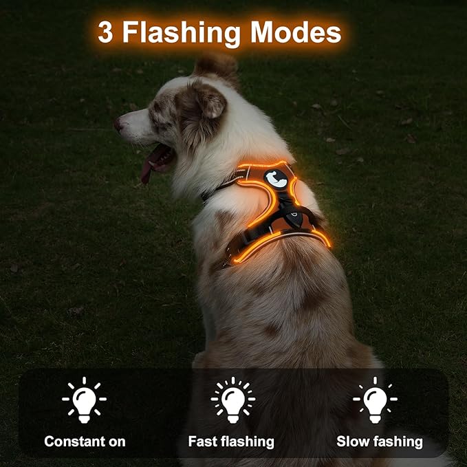 Taglory Light Up Dog Harness, Rechargeable No Pull Dog Vest with 3 Lightning Modes, Reflective Dog Harness with 2 Leash Clips & 4 Adjustable Slide Strips for Large Dogs, Orange-Orange, L