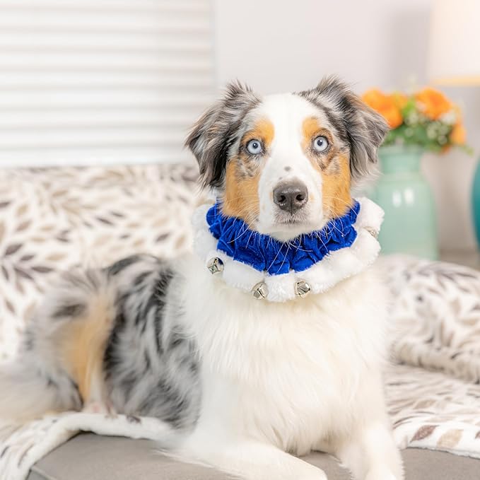 Huxley & Kent Ruff Pet Scrunchy | Hanukkah (Small) | Festive Christmas/Holiday Neckwear for Dogs/Cats | Fun Stretchable Costume Accessory | Soft Collar with Bells