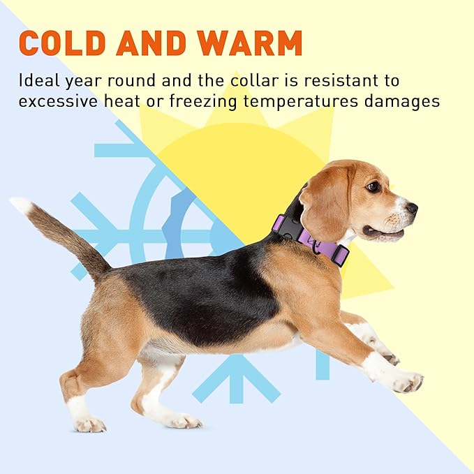 Dogline Biothane Waterproof Dog Collar with Quick Release Buckle Strong Coated Nylon Webbing with Odor- Proof for Easy Care Easy to Clean Fits Small Medium Large Dogs, Amethyst Purple 1" W 15-23" L