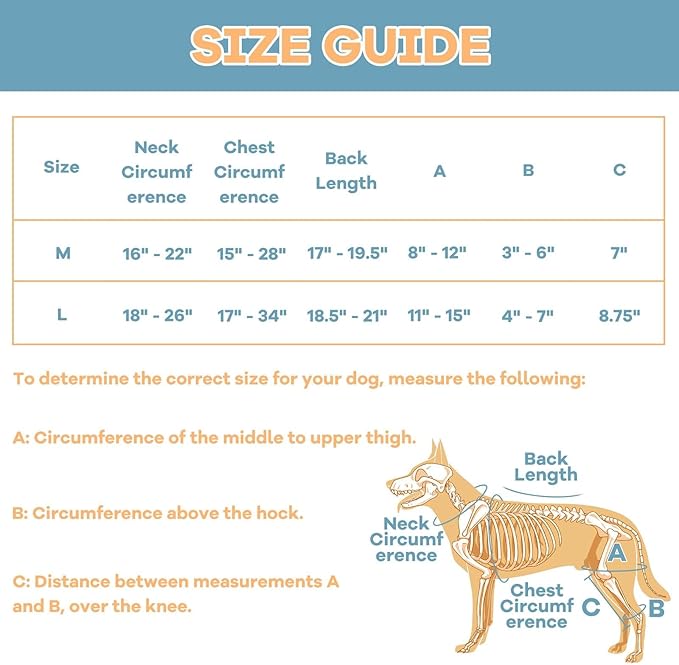 Dog Knee Brace with Adjustable Support – ACL & CCL Tear Recovery, Post-Surgery Stabilization, Mobility Aid for Rear Legs – Includes Secure Chest Harness for Dogs(Both Legs,L)