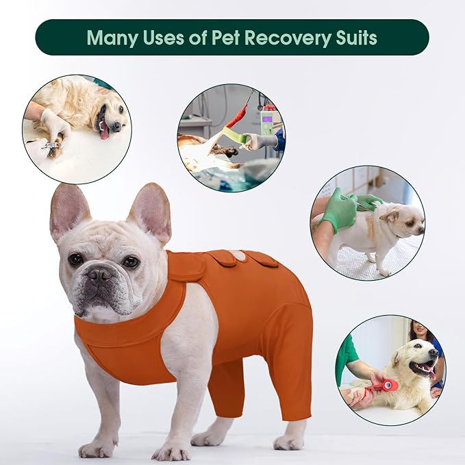 Kuoser Recovery Suit for Back Legs, Thigh Wound Protective Sleeve, Recovery Sleeve for Female Male Dogs, Onesie After Surgery, Pet Surgical Suit for Spay Neuter, Brown L