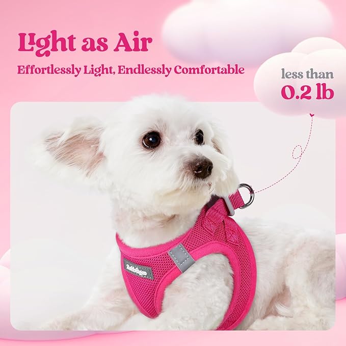 rabbitgoo Dog Harness Small Sized and Leash Set, Step in Soft Light Puppy Vest, Breathable Mesh Pet Harness, Reflective for Safe Easy Walking, Rose Red XS