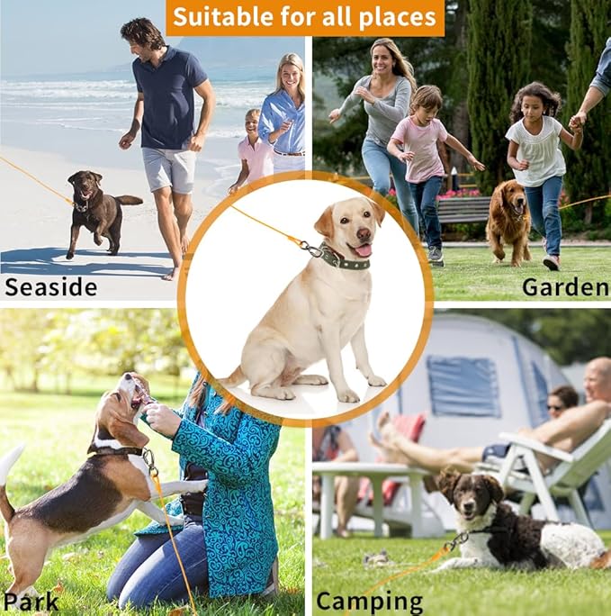 Dog tie Out Cable, 10/20/25/30/50/70/100 feet, Suitable for Dogs up to 350 pounds, Dog Cable with Swivel Buckle, Lightweight, Non-Winding, for Outdoor Camping, Yard Dog Cable (Orange, 20FT)