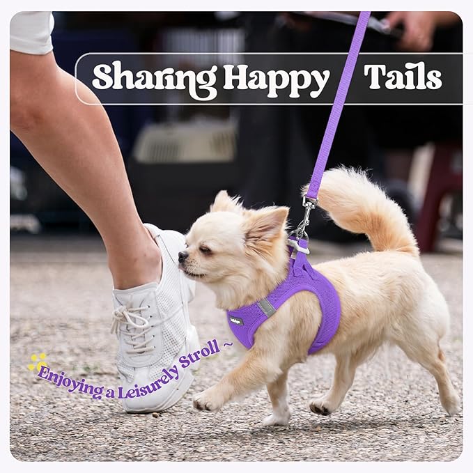 rabbitgoo Dog Harness Small Sized and Leash Set, Step in Soft Light Puppy Vest, Breathable Mesh Pet Harness, Reflective for Outdoor Safe Walking, Purple XL