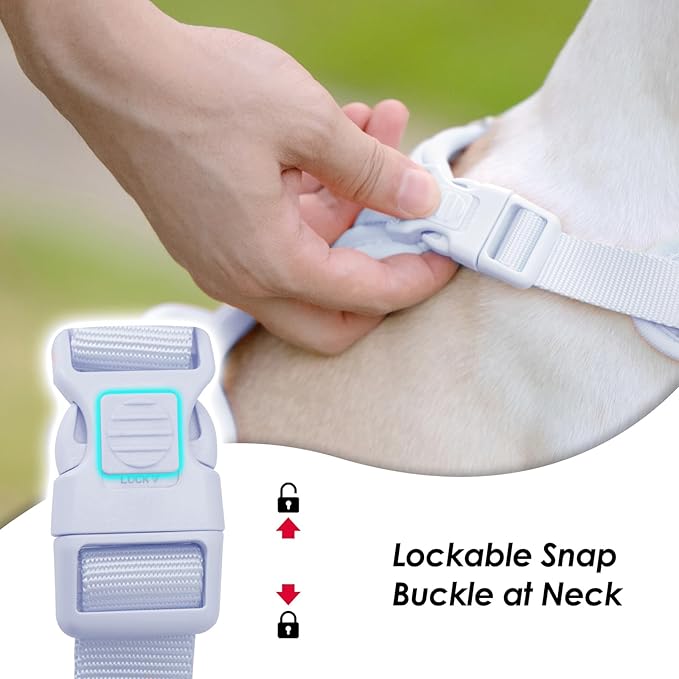 No Pull Dog Harness, Puppy Vest with Front Clip for Small Medium Large Sized Dog(Light Blue,XL)