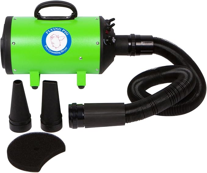 Flying Pig High Velocity Dog Pet Grooming Dryer w/Heater (Model: Flying One, Green)
