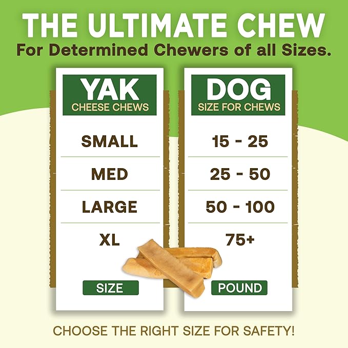 EcoKind Himalayan Gold Yak Cheese Chew for Small Dogs, Healthy Treats, Odorless, Long Lasting Bones, Rawhide Free, Made in The Himalayans, Small (Pack of 4)