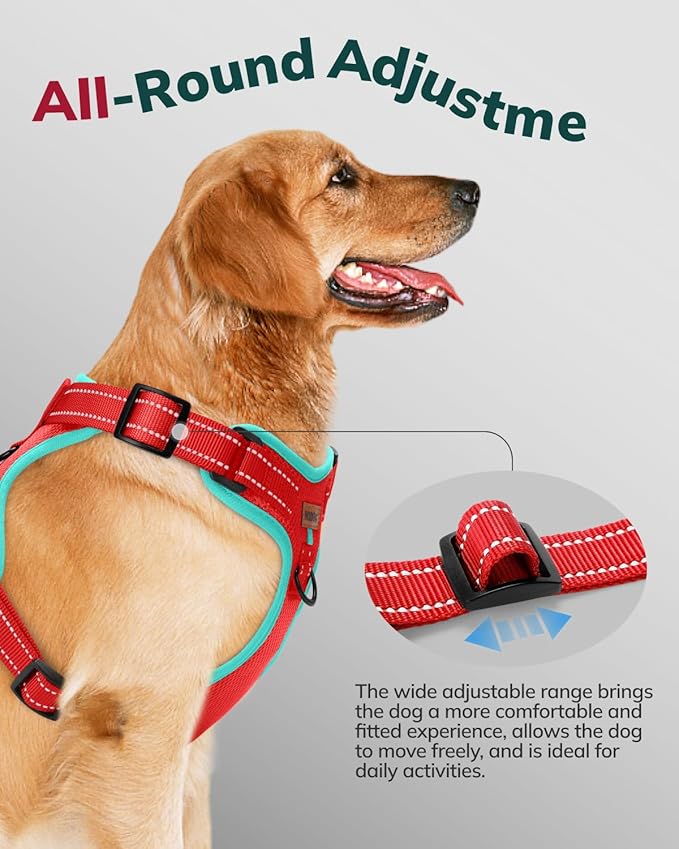 MIDOG No-Pull Dog Harness | Adjustable & Reflective Pet Harness Leash Set for Small Medium Large Dogs Walking, Training| No Choke, Front Clip, Soft Padded Vest with Easy Control Handle - Red, S