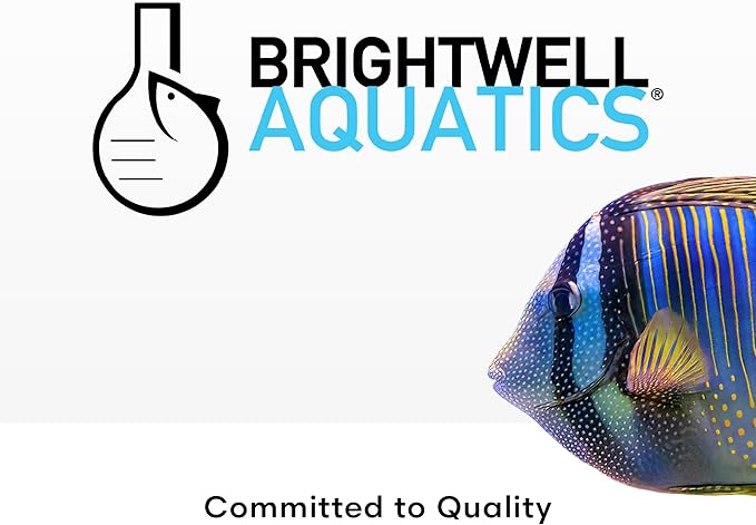 Brightwell Aquatics Rēplenish – Premium Trace & Minor Element Supplement for Marine Aquariums, Supports Healthy Fish, Corals, and Invertebrates, 500 ml