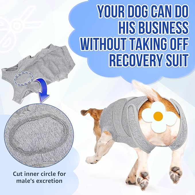 Lukovee Recovery Suit for Dogs - Zipper On Onesie for Female & Male Dogs, Abdominal Wounds Cone E-Collar Alternative, Prevent Licking - Spay Recovery Suit (Grey, XL)