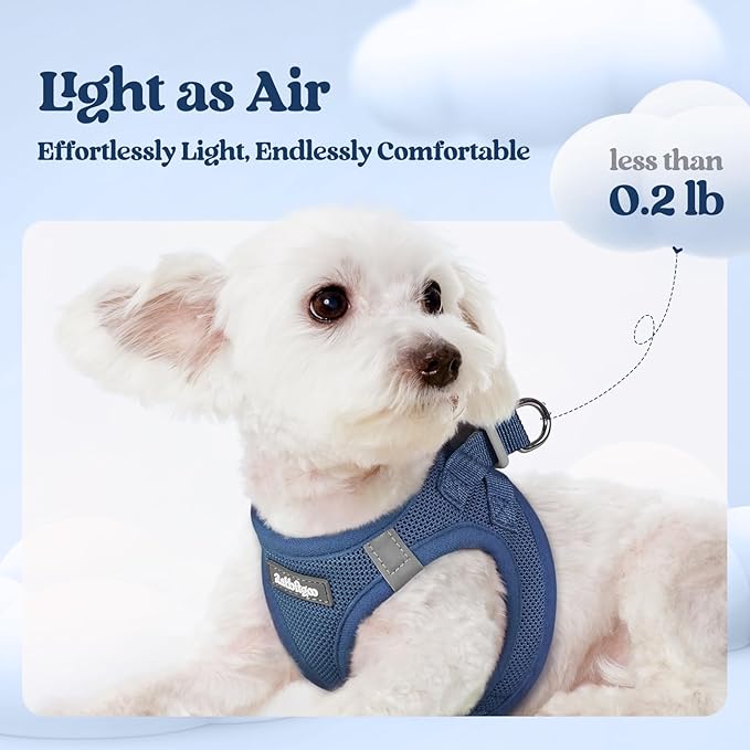 rabbitgoo Dog Harness Small Sized and Leash Set, Step in Soft Light Puppy Vest, Breathable Mesh Pet Harness, Reflective for Safe Outdoor Walking, Navy Blue XS