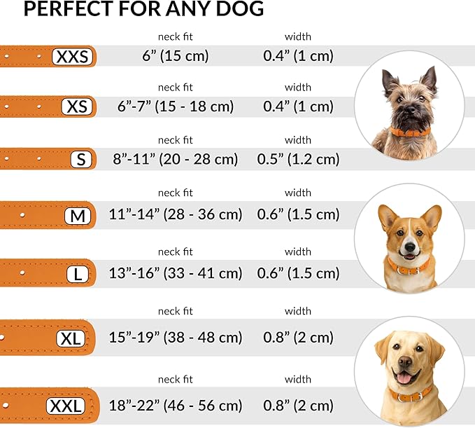 CollarDirect Rolled Leather Dog Collar, Soft Padded Round Puppy Collar, Handmade Genuine Leather Collar Dog Small Large Cat Collars 13 Colors (6 Inch, Orange Textured)